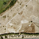 Image for article titled Ancient Romans Built Monuments Centuries Before Archaeologists Believed
